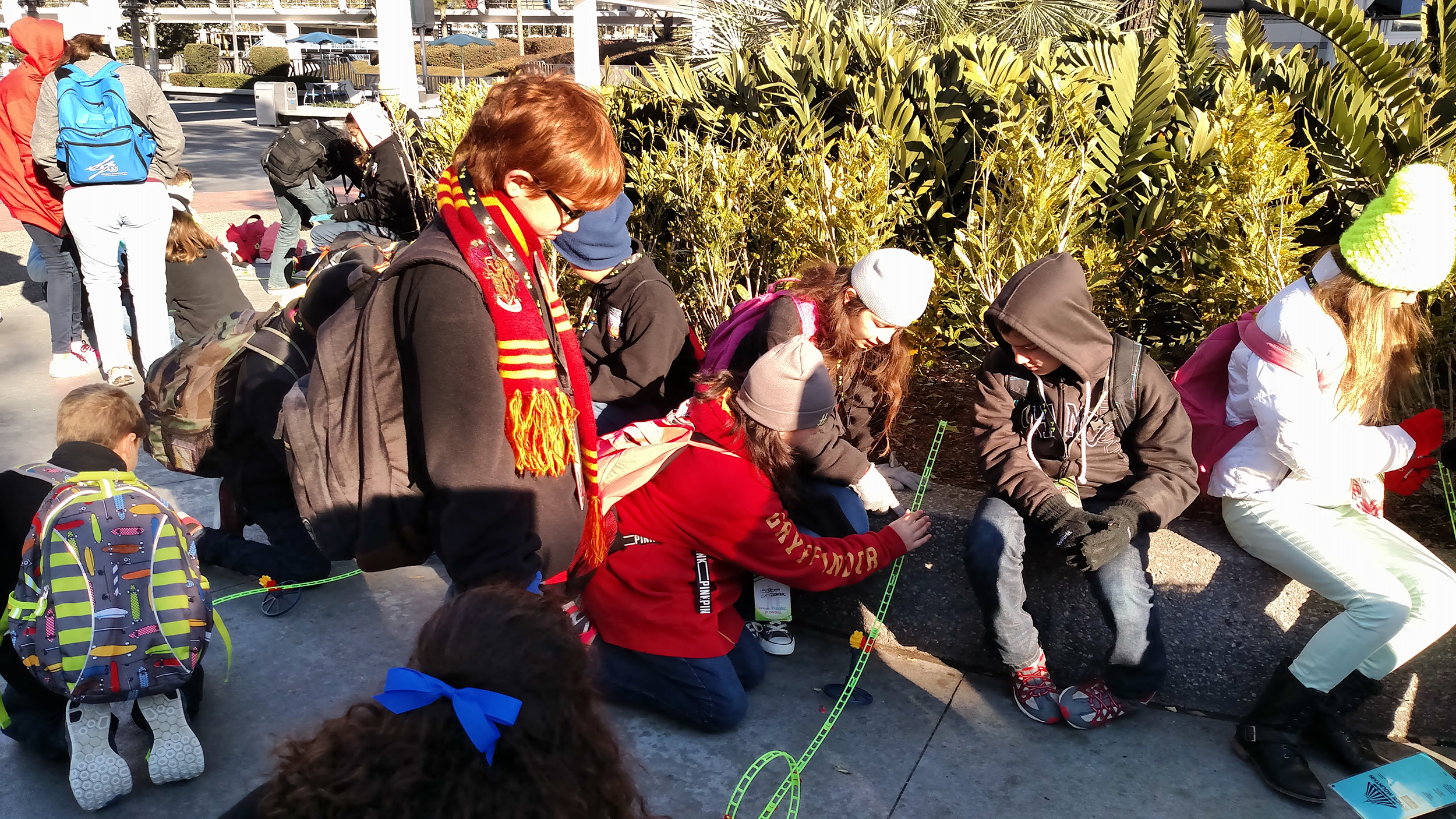 disney educational group