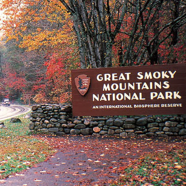 pigeon forge featured